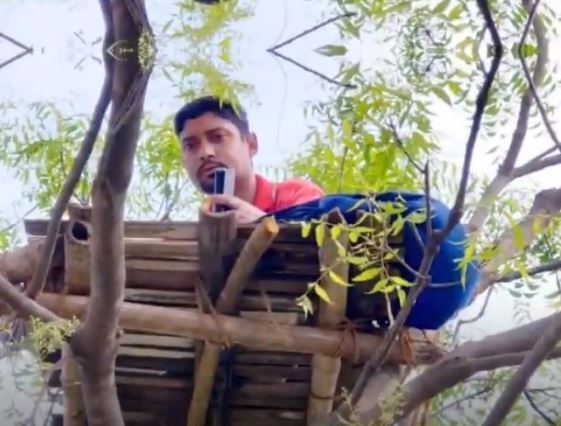 Учитель проводит дистанционные онлайн уроки в нестандартном месте - на дереве