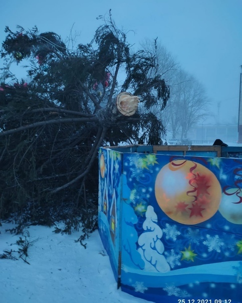 Праздник к нам приходит:"Падающая" елка это местная новогодняя традиция или пофигизм местных чиновников