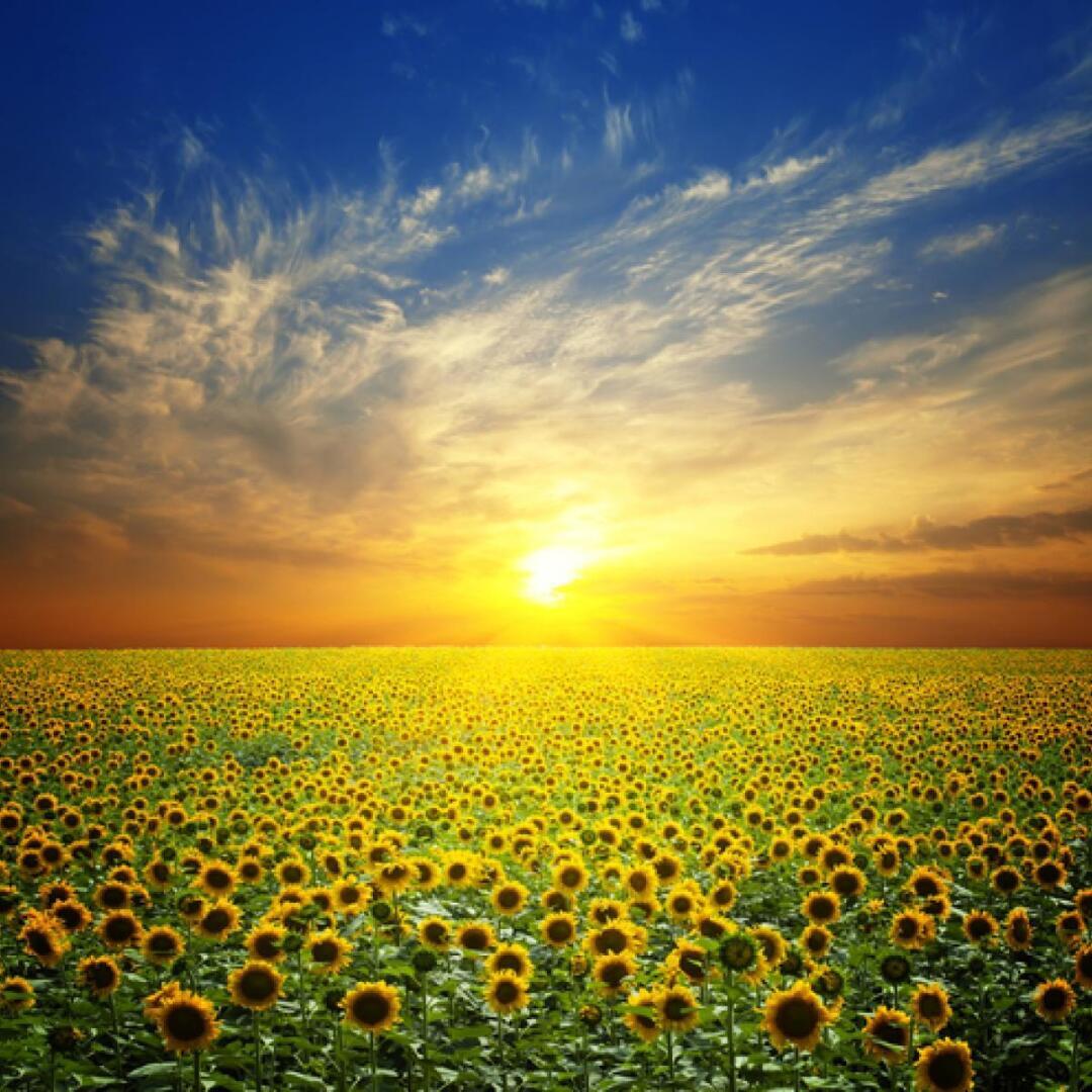 Как не зацикливаться на негативе?