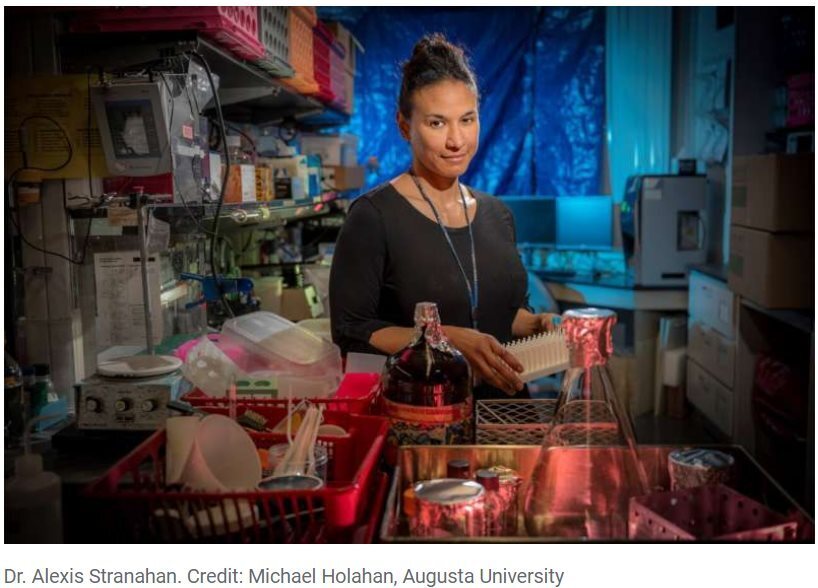 Подкожный жир, как оказалось, защищает мозг женщин