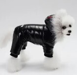 С наступлением зимы все больше заводчиков собак, сталкиваются с такой проблемой как, обязательно ли надевать на своего питомца зимнюю одежду.