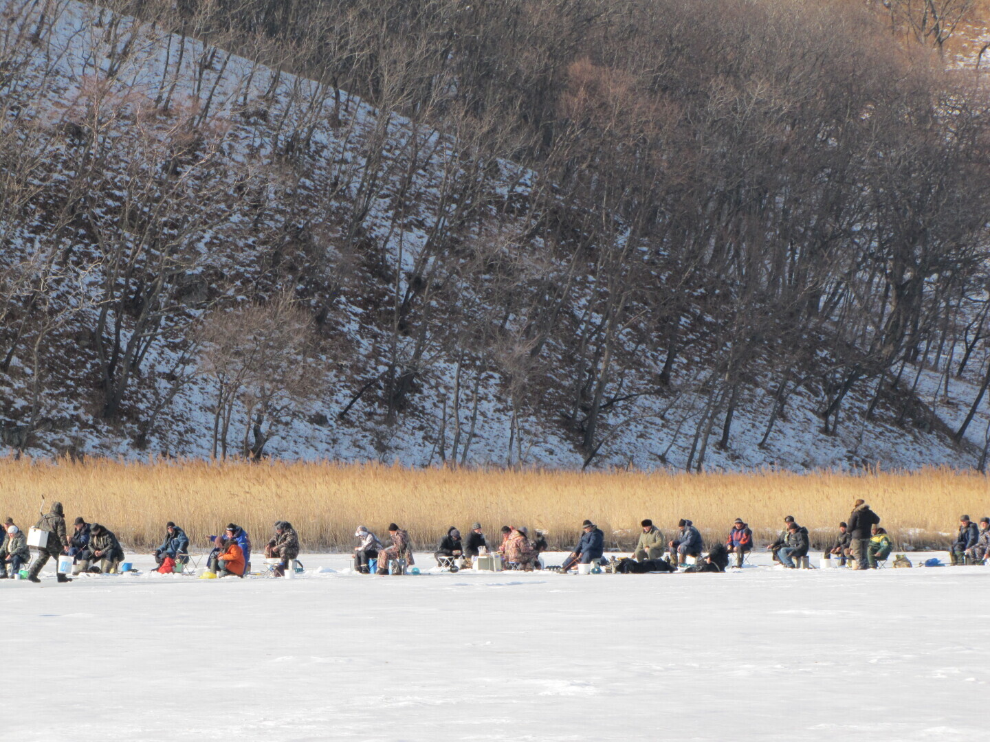 Холодный образ жизни.