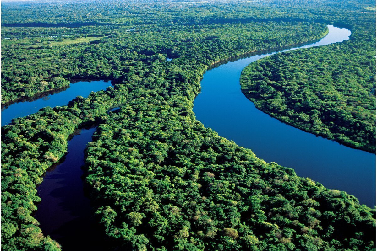 Амазонка река красивые