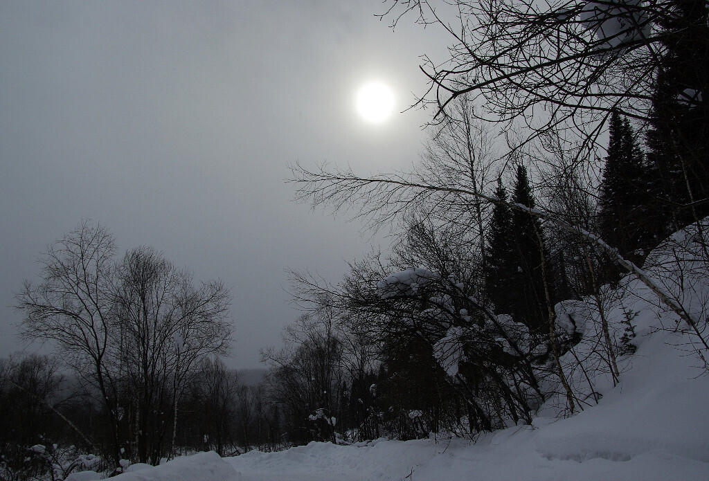 Не суди и не судим будешь