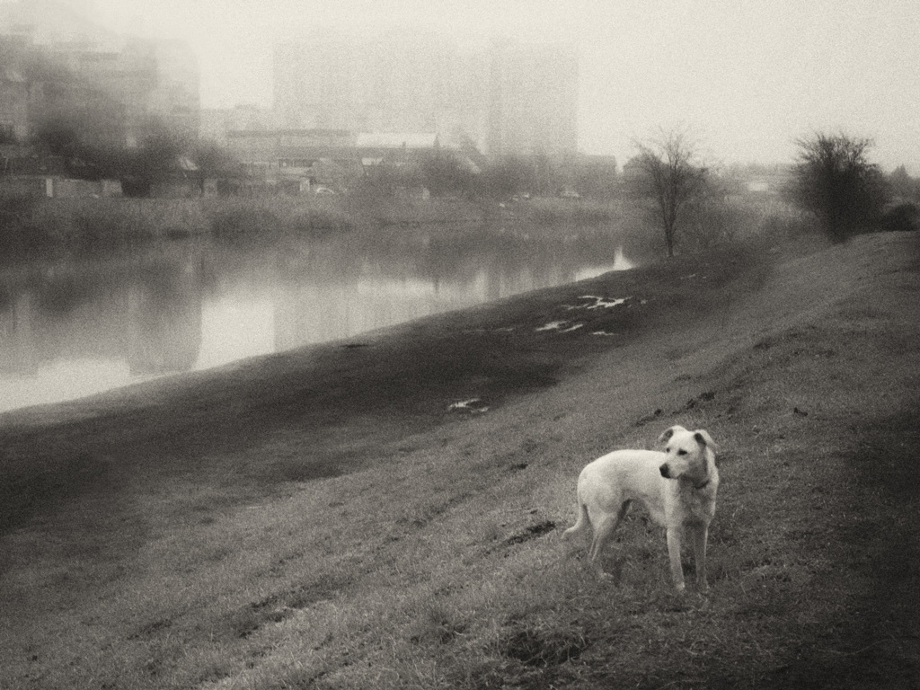 Мистическая история одной фотографии