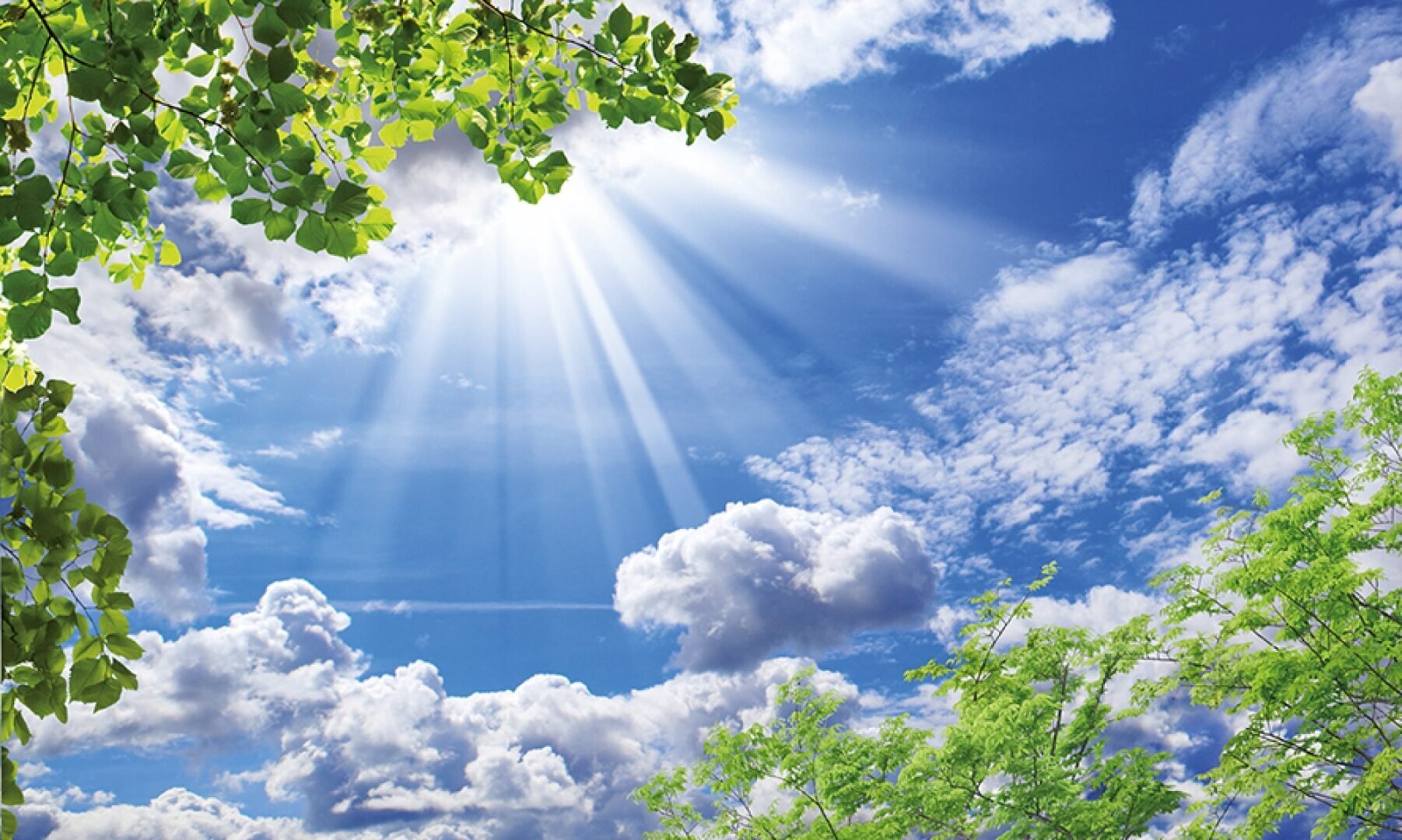 Любимые и родные люди... Уходите никого не спросив... Боль души...