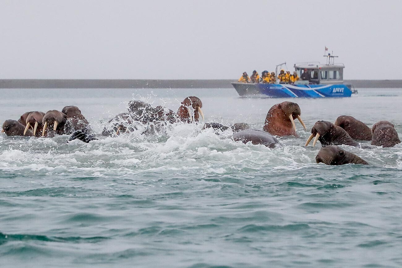 Почему время не имеет значения на Чукотке!