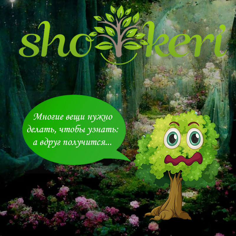 ​Какие бывают привычки у успешных в жизни людей