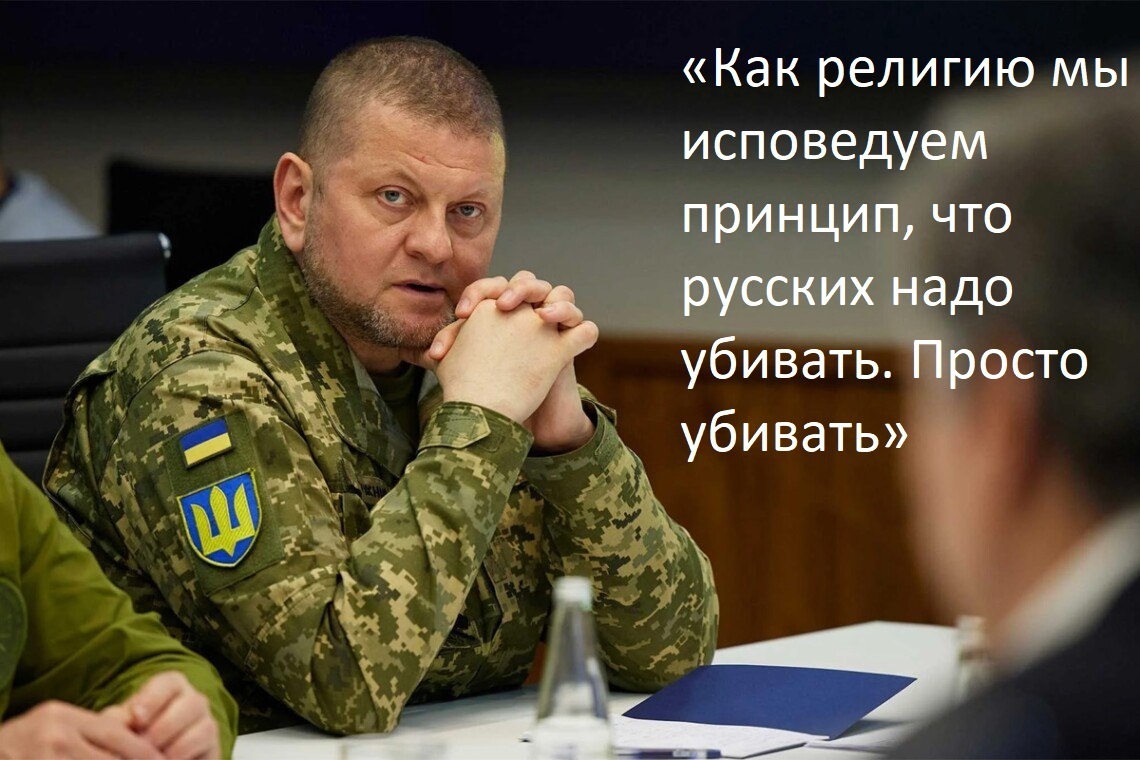 У носорога плохое зрение и очень скверный характер, но это не его проблема или почему убивать можно только русских...