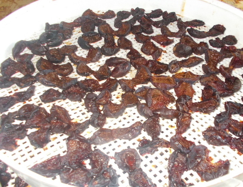 Зефир в шоколаде в форме ушек кролика