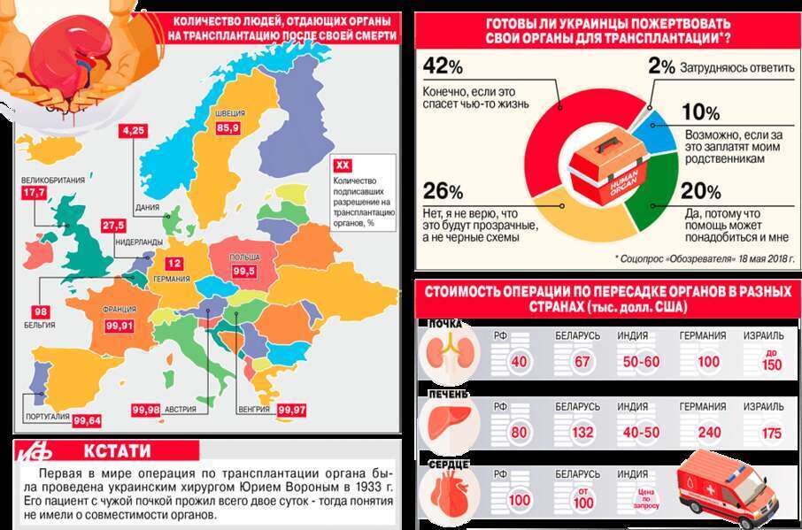 Украина - территория дешёвых органов