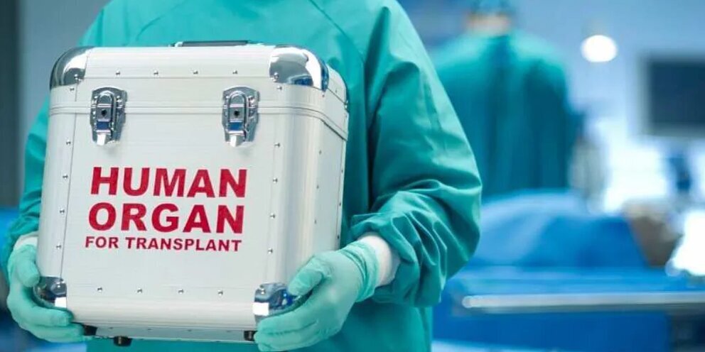 Украина - территория дешёвых органов