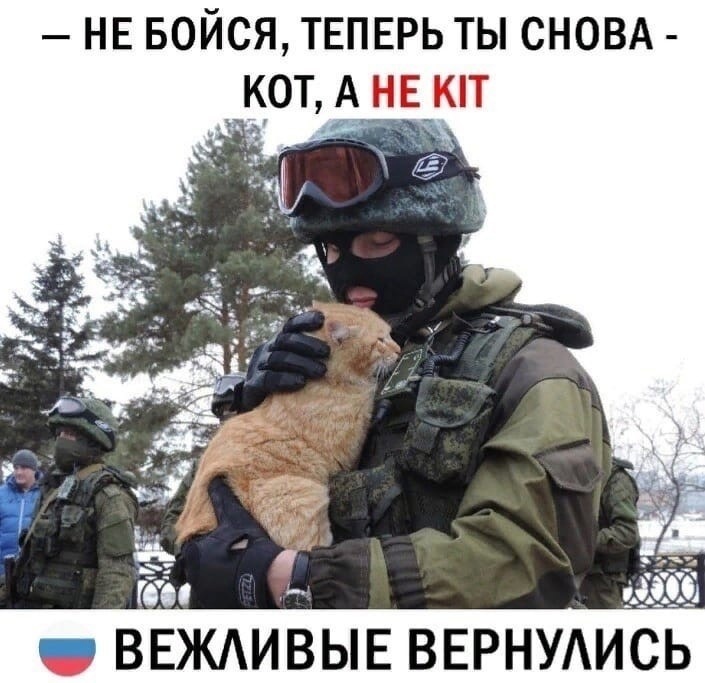 Поздравляем славных защитников!