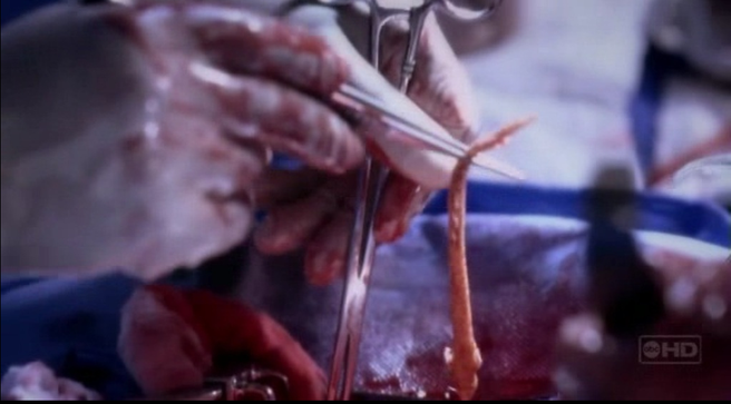 Кошмар Амазонки