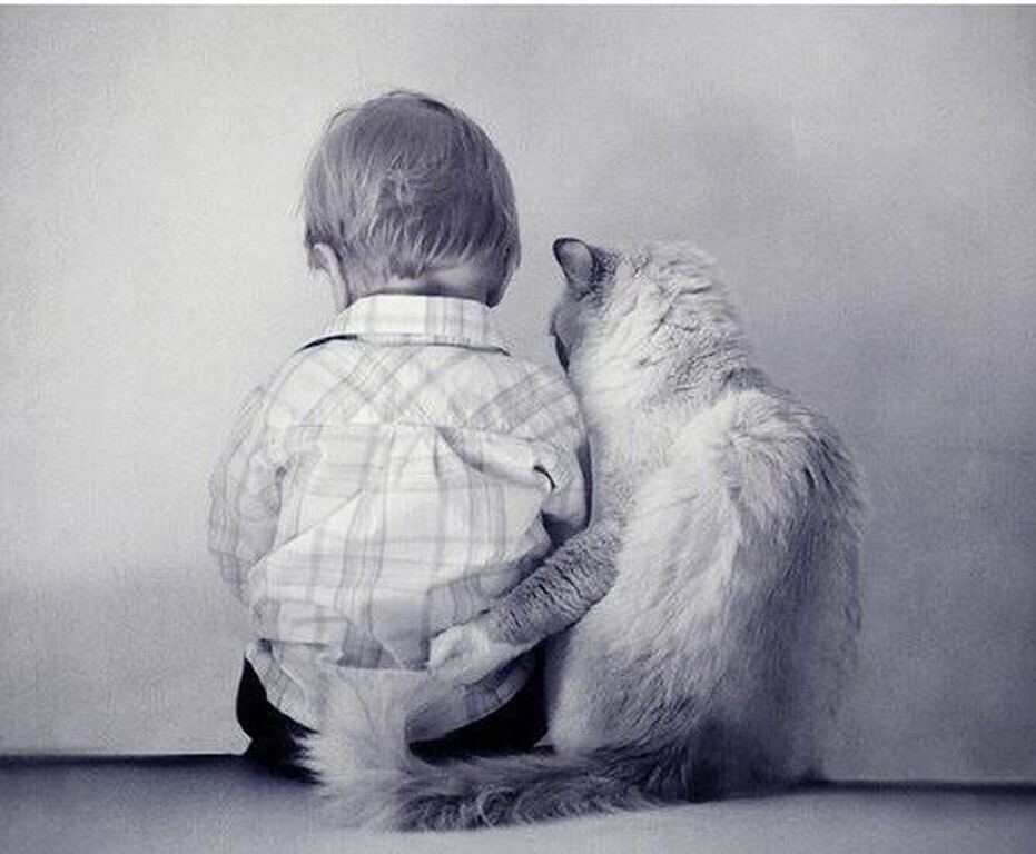 Немеркнущий уголек надежды.