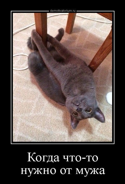 Весёлые картинки (часть 47)