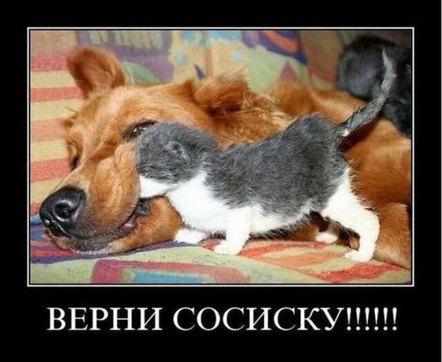 Весёлые картинки (часть 47)