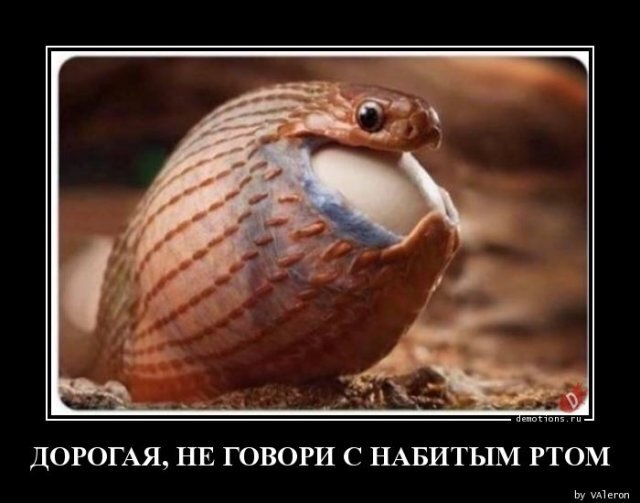 Весёлые картинки (часть 47)