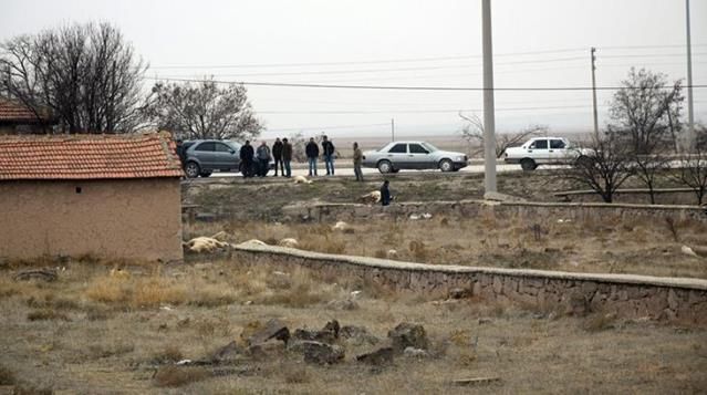 Начало новой эпидемии в Турции?