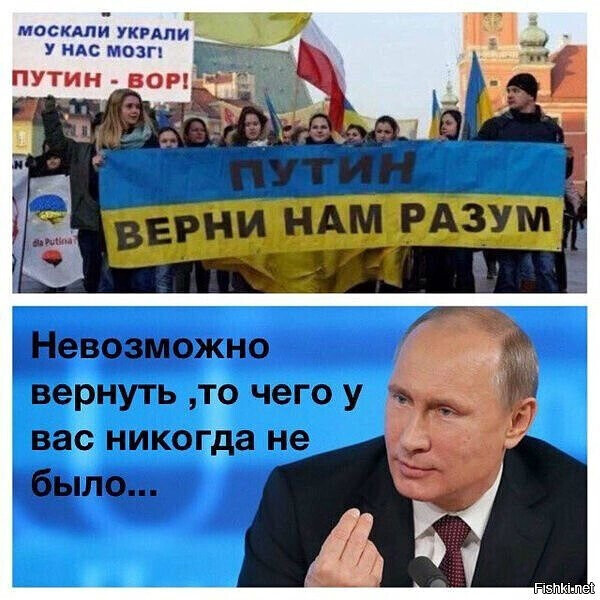 Мы не они (Россия и Запад).