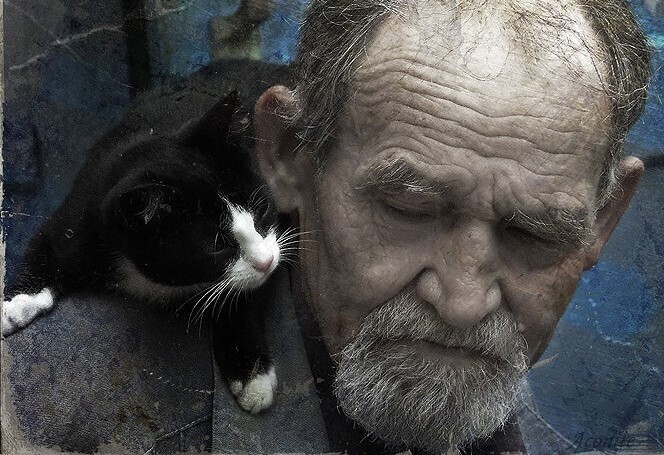 Старый альбом.