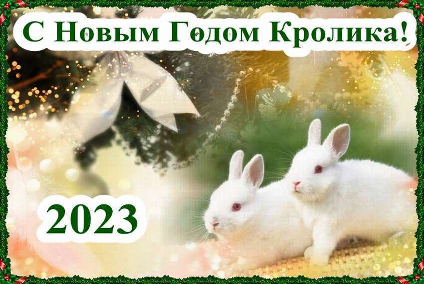 Новый 2023 пожелания. Картинки кролика на новый год. Год кота и кролика 2023. Поздравления с новым годом кролика. С новым годом кота и кролика.