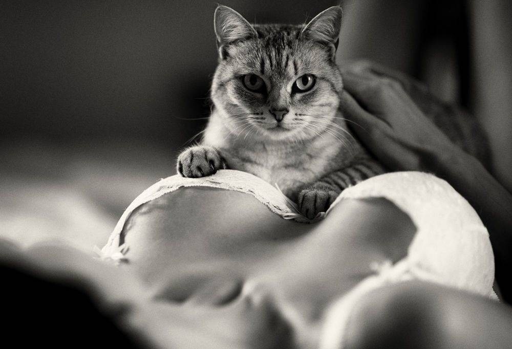 Женская грудь как лекарство для мужчин. Опрос