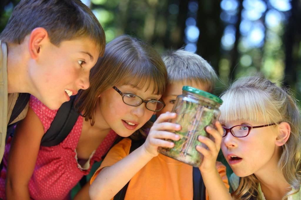 Как преодолеть искушение. Запретный плод или яблоко раздора.