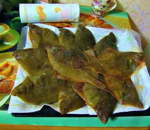 Камбала рулит!