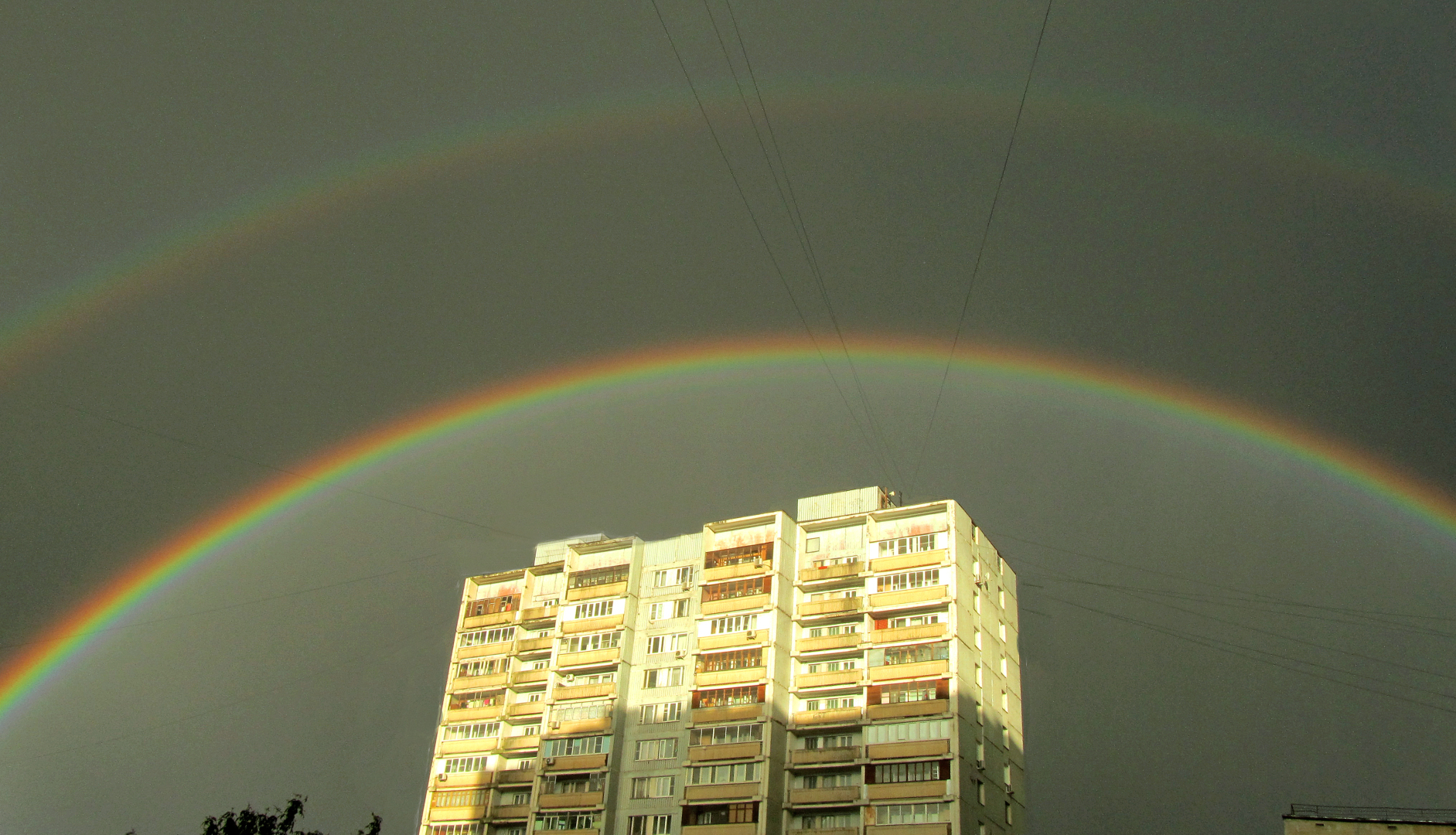 Как я подружилась с радугой