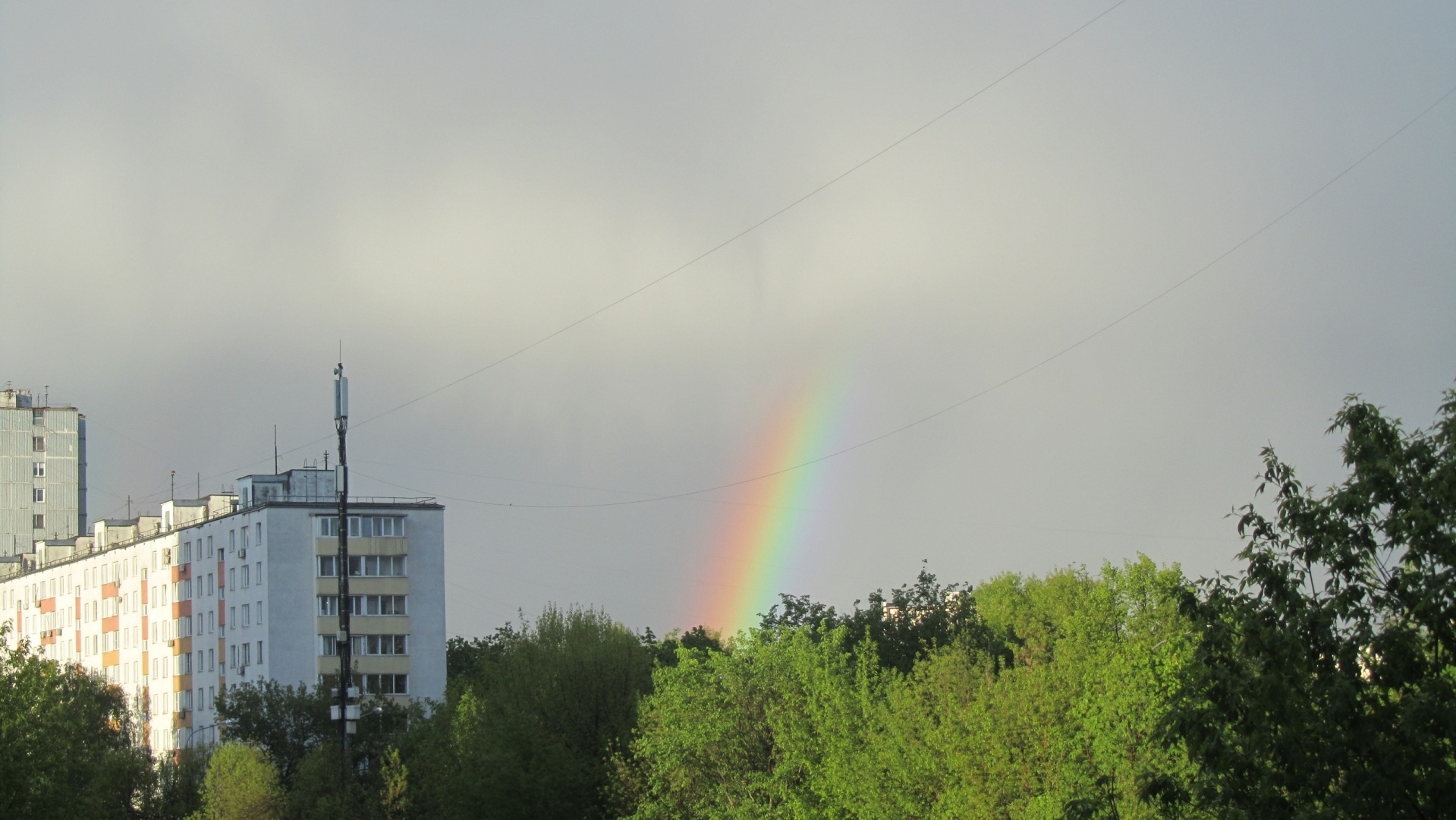 Как я подружилась с радугой