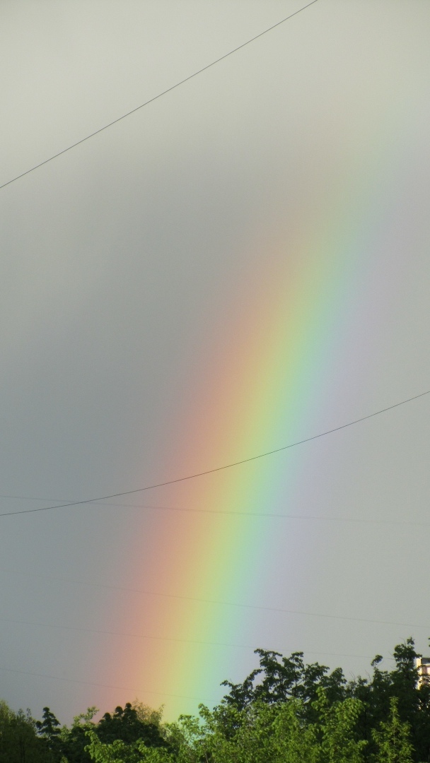 Как я подружилась с радугой