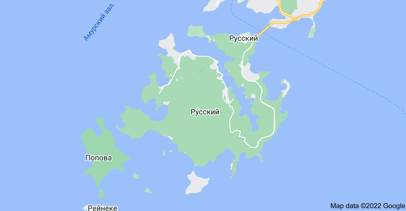 В 2023 году откроется Музей амурского тигра