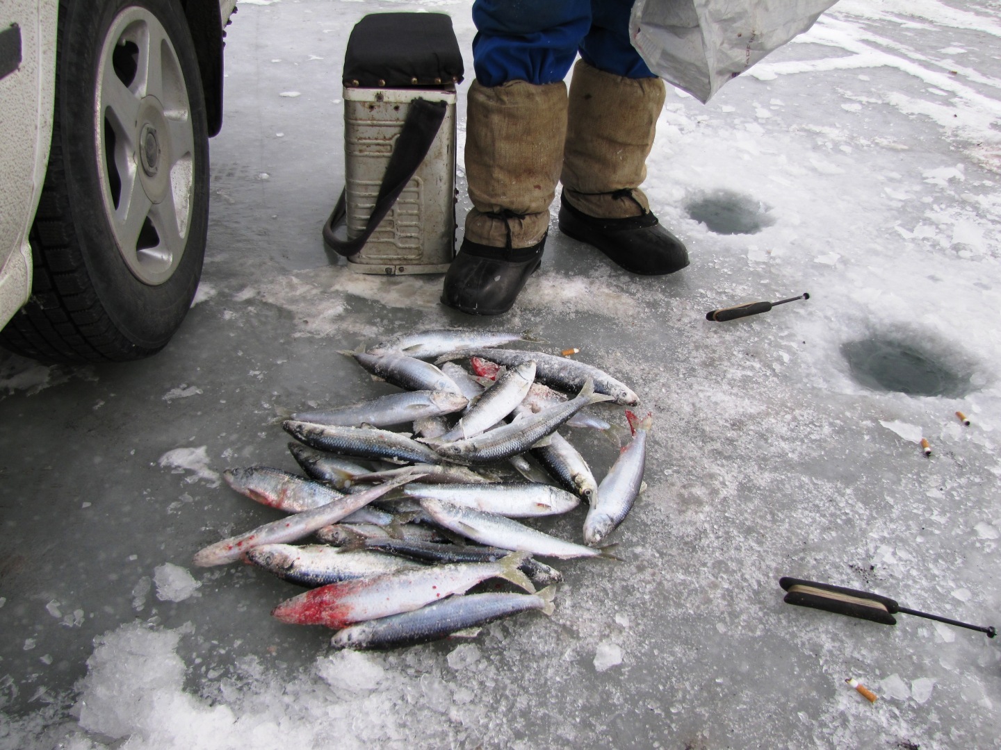 Случай связанный с рыбалкой. Продолжение - 1