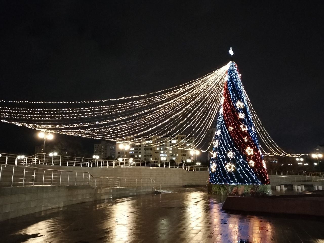 Ещё лучше сделали установив вторую новогоднюю елку в Севастополе - фото. Праздник будет при сохранении "желтого" уровня террористической опасности