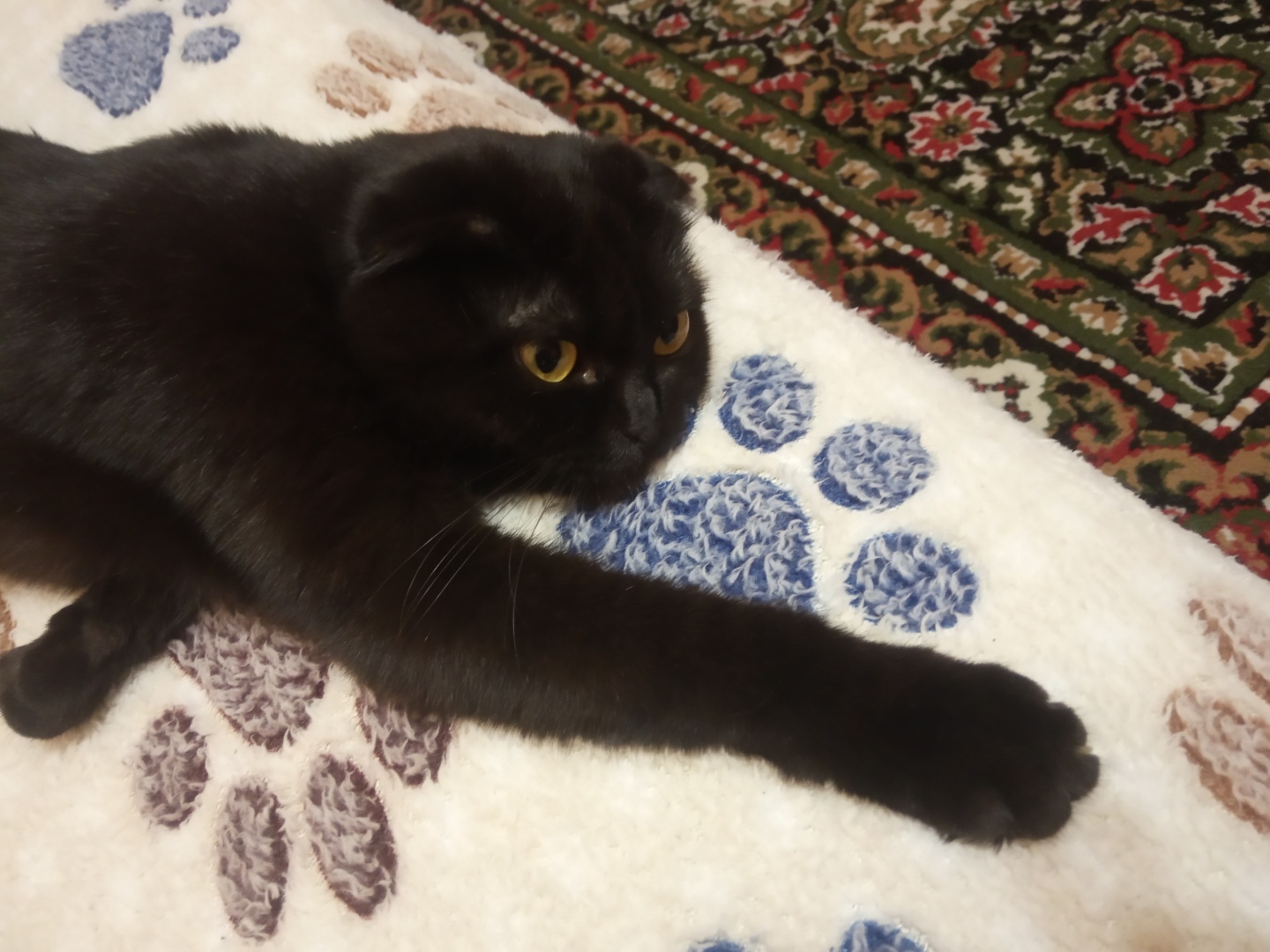 Что делать, если не выполнена цель уходящего года?