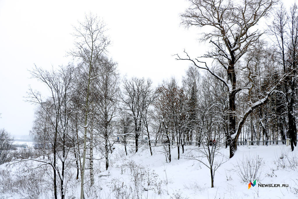 Известен прогноз погоды в Кирове на первый день 2023 года