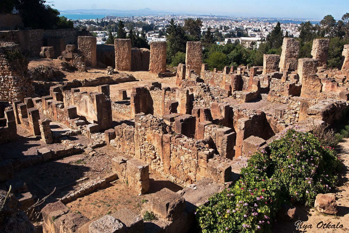 Древний Город Туниса
