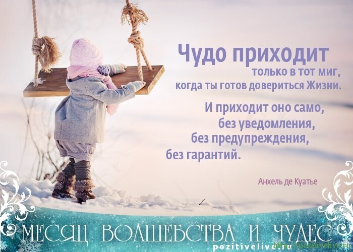 Новогодняя история. Посвящается всем выжившим после праздников.