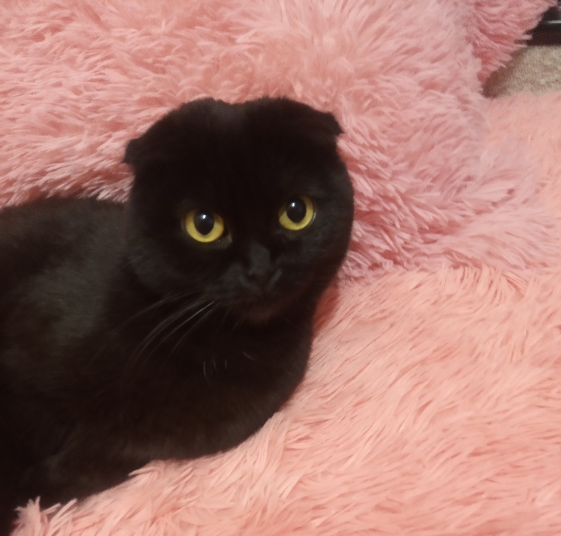 Денежное стихотворение в четверг!