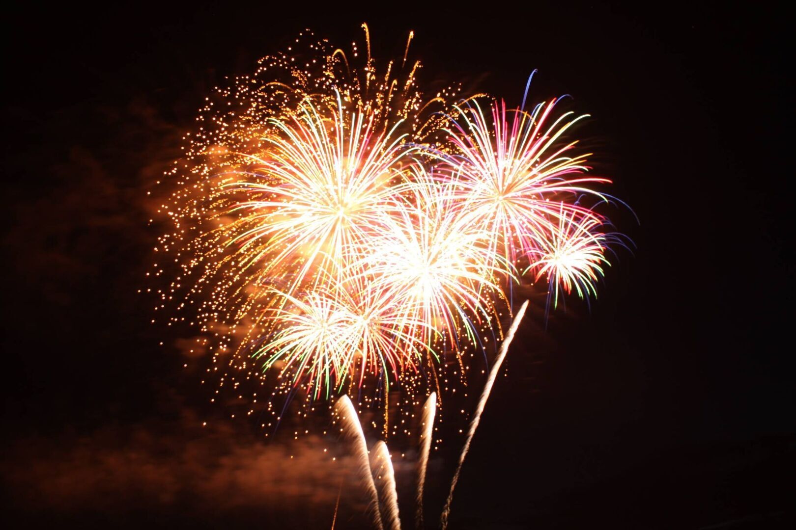 "Новогодние фейерверки загрязняют воздух и пугают питомцев"