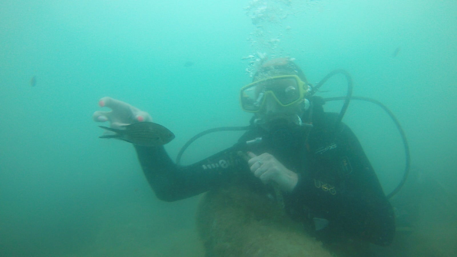 Дайвинг. Туризм. Экстрим, страх, эмоции.