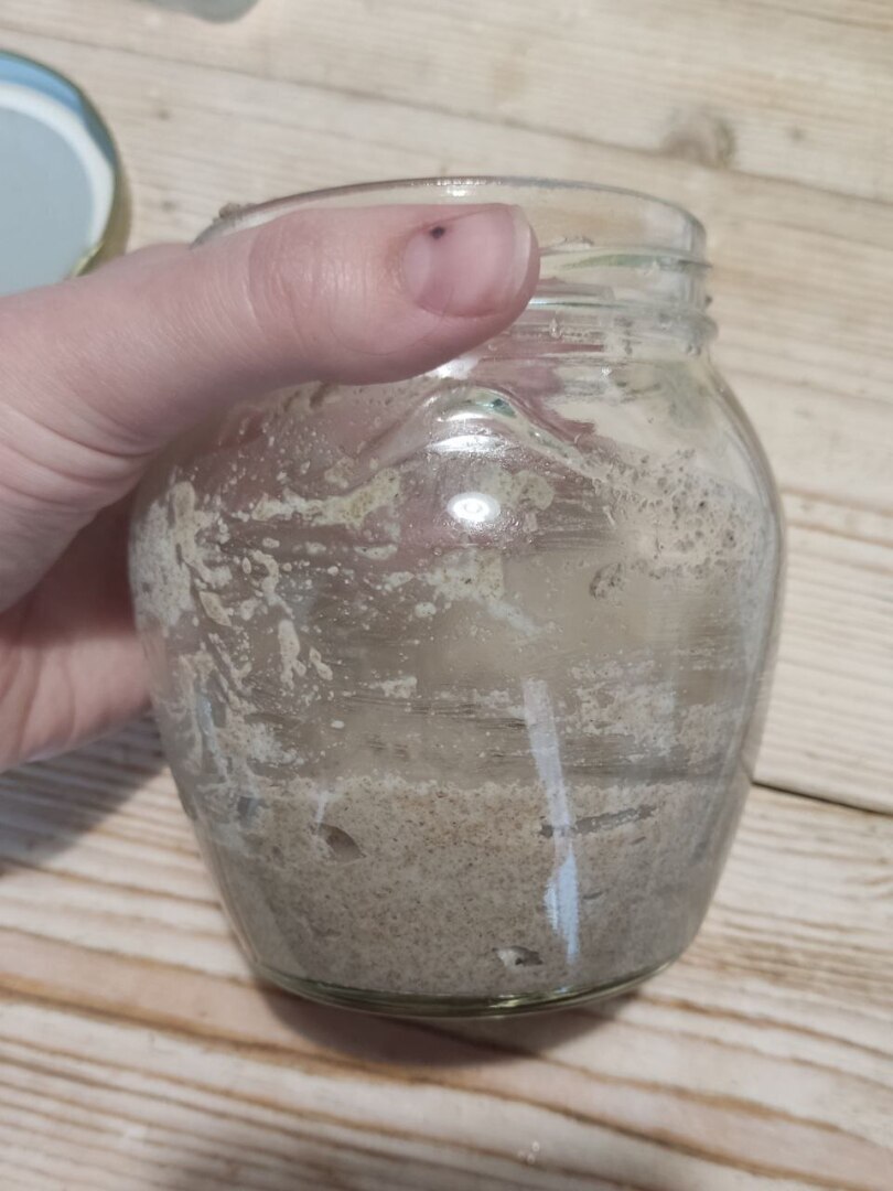 День 2. Breadовая история. Первое кормление закваски