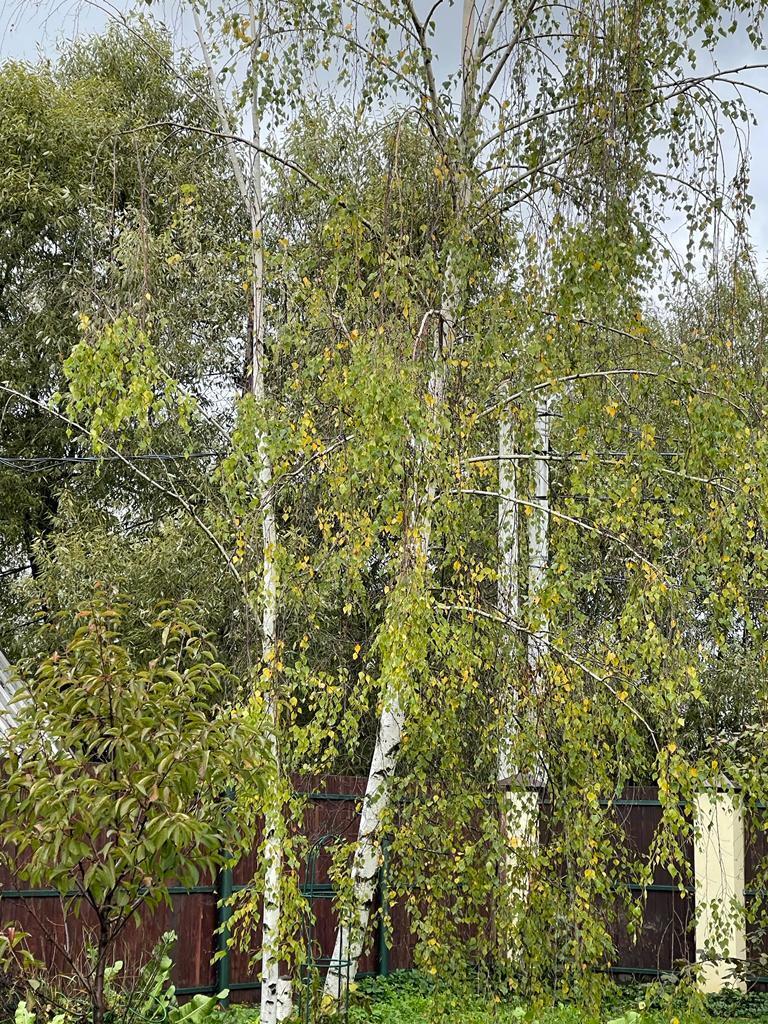 Выделение наследником в суде супружеской доли умершего в квартире у пережившего супруга