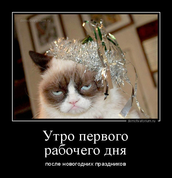 Праздники прошли: денег нет, депрессия, печень болит. Как восстановить финансовое положение и здоровье после длительных праздников. Выходим на работу.