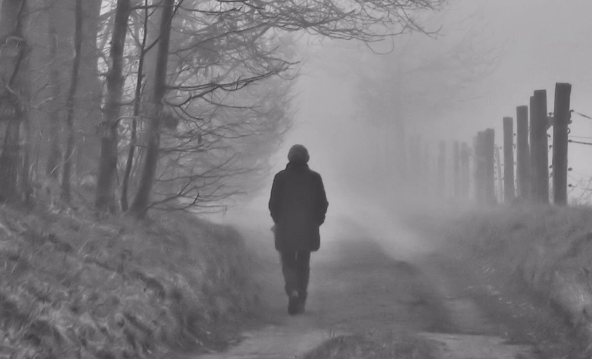 В неизвестность: История пропавшего старика