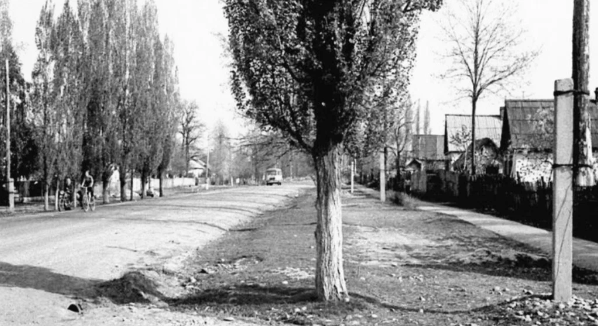 Как недалеко от Чёрного моря чуть не построили атомную электростанцию и кто этому помешал