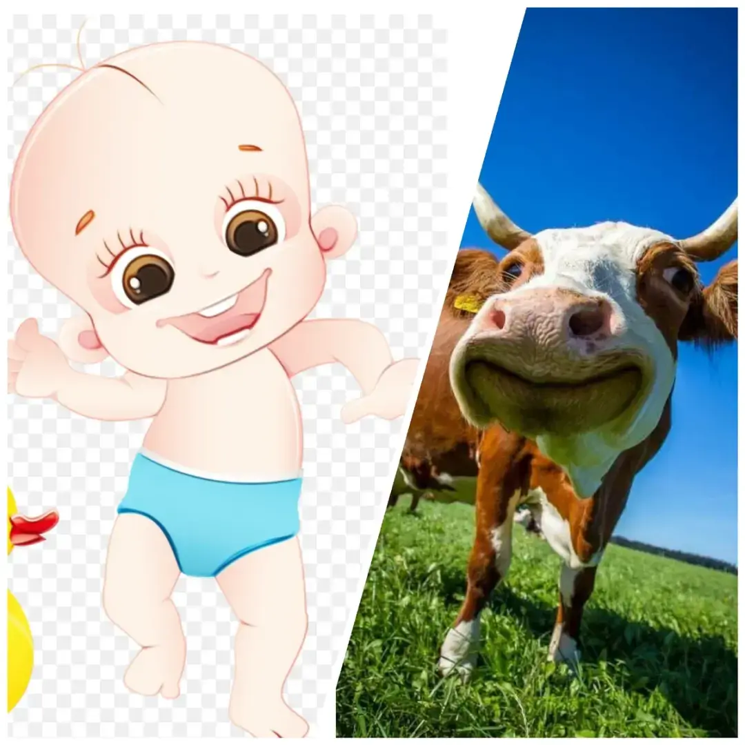 До какого возраста ребенок считается новорожденным, грудничком и младенцем? И как связаны дитя и корова?