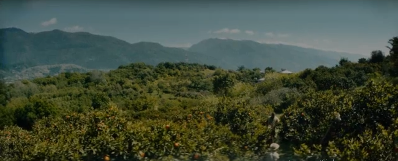 Отзыв на художественный фильм Чебурашка 2022г.