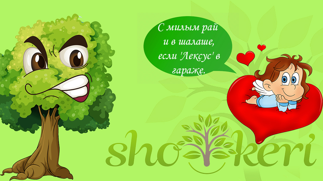 Как управлять в паре домашним бюджетом